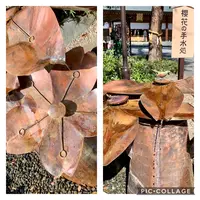 櫻木神社の写真・動画_image_821356
