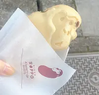 雲IZU 日光店の写真・動画_image_823500