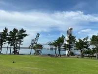 若洲ゴルフリンクスの写真・動画_image_823935