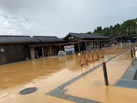 大島の写真・動画_image_825262