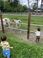 川湯パーク牧場の写真・動画_image_827062
