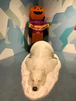 かねふくめんたいパーク神戸三田の写真・動画_image_829997