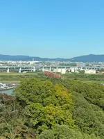 男山ケーブルの写真・動画_image_830691