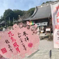 埼玉厄除け開運大師・龍泉寺の写真・動画_image_831156