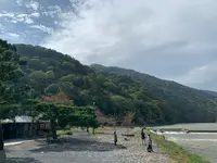 渡月橋の写真・動画_image_831872