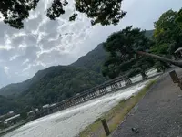 渡月橋の写真・動画_image_831877