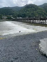 渡月橋の写真・動画_image_831878