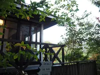 ゆふいん椿の写真・動画_image_833262