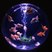 【閉業】アートアクアリウムの写真・動画_image_833692