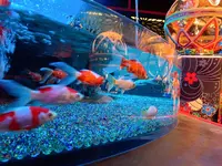 【閉業】アートアクアリウムの写真・動画_image_833693