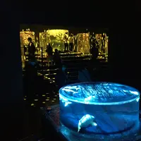【閉業】アートアクアリウムの写真・動画_image_833694