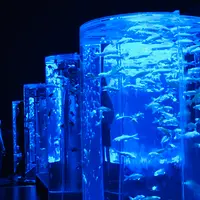 【閉業】アートアクアリウムの写真・動画_image_833697