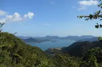 竜王山展望台の写真・動画_image_836419