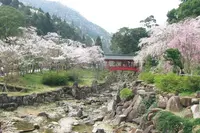 御調八幡宮の写真・動画_image_836423