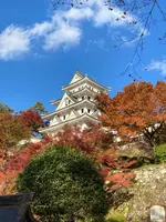 郡上八幡城の写真・動画_image_838223