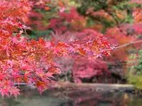 曽木公園の写真・動画_image_838373