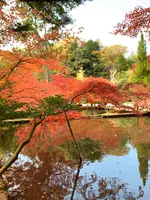 曽木公園の写真・動画_image_838374