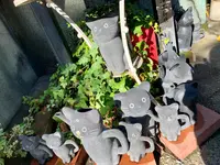 今戸神社の写真・動画_image_840452