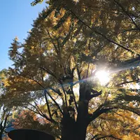 日比谷 松本楼の写真・動画_image_844104