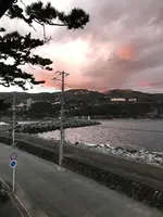 磯膳まえだ苑の写真・動画_image_845591