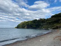 かねよ食堂の写真・動画_image_848535