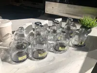 TeaTockの写真・動画_image_849175