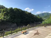 丹波竜の里公園の写真・動画_image_853784