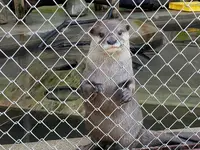 池田動物園の写真・動画_image_854659