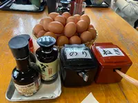 但熊の写真・動画_image_855415