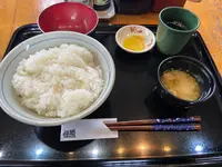 但熊の写真・動画_image_855416