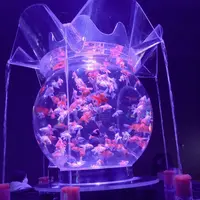 アートアクアリウム美術館の写真・動画_image_856887