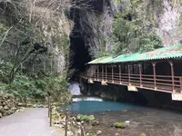 秋芳洞の写真・動画_image_857403