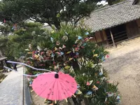 松陰神社の写真・動画_image_859741
