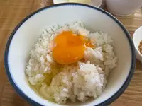 食堂 かめっち。の写真・動画_image_860999