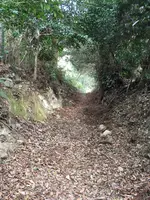 多度山の写真・動画_image_867134