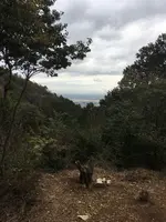 多度山の写真・動画_image_867135