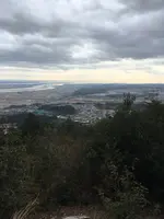 多度山の写真・動画_image_867136