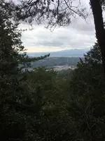 多度山の写真・動画_image_867137