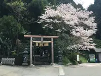 荒立神社の写真・動画_image_868584