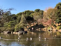 隅田公園の写真・動画_image_868765