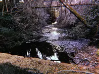 〒324-0022 栃木県大田原市宇田川２４８の写真・動画_image_871572
