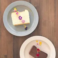 cafe amitieの写真・動画_image_871623
