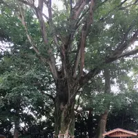 石坐神社の写真・動画_image_871670