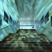 すみだ水族館の写真・動画_image_878261