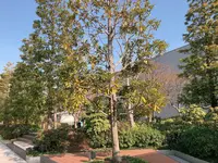 ギンザ シックス（GINZA SIX）の写真・動画_image_878278