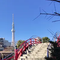 亀戸天神社の写真・動画_image_878287