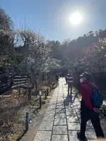 東慶寺の写真・動画_image_880720