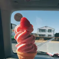 苺の里 Strawberry Gardenの写真・動画_image_882227