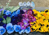 馬場氷川神社の写真・動画_image_883737