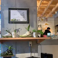 LIT COFFEE & TEA STANDの写真・動画_image_883811